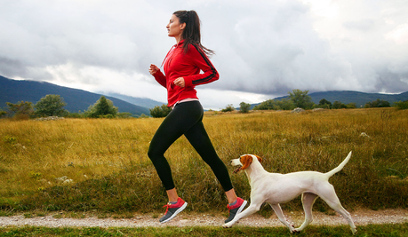 Los perros tienen muchos efectos positivos en nuestra salud física