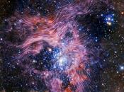 formación estelar continúa Doradus, Nebulosa Tarántula