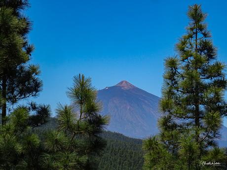 Mirador de Ortuño la Esperanza (TF-24) Dirección Teide Isla de Tenerife Mirador de Ortuño la Esperanza (TF-24) Dirección Teide Isla de Tenerife