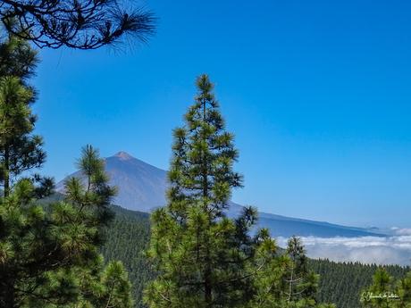 Mirador de Ortuño la Esperanza (TF-24) Dirección Teide Isla de Tenerife Mirador de Ortuño la Esperanza (TF-24) Dirección Teide Isla de Tenerife