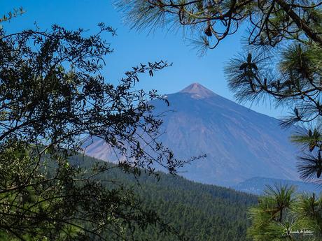 Mirador de Ortuño la Esperanza (TF-24) Dirección Teide Isla de Tenerife Mirador de Ortuño la Esperanza (TF-24) Dirección Teide Isla de Tenerife