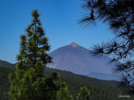 Mirador de Ortuño la Esperanza (TF-24) Dirección Teide Isla de Tenerife Mirador de Ortuño la Esperanza (TF-24) Dirección Teide Isla de Tenerife