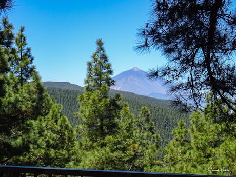 Mirador de Ortuño la Esperanza (TF-24) Dirección Teide Isla de Tenerife Mirador de Ortuño la Esperanza (TF-24) Dirección Teide Isla de Tenerife