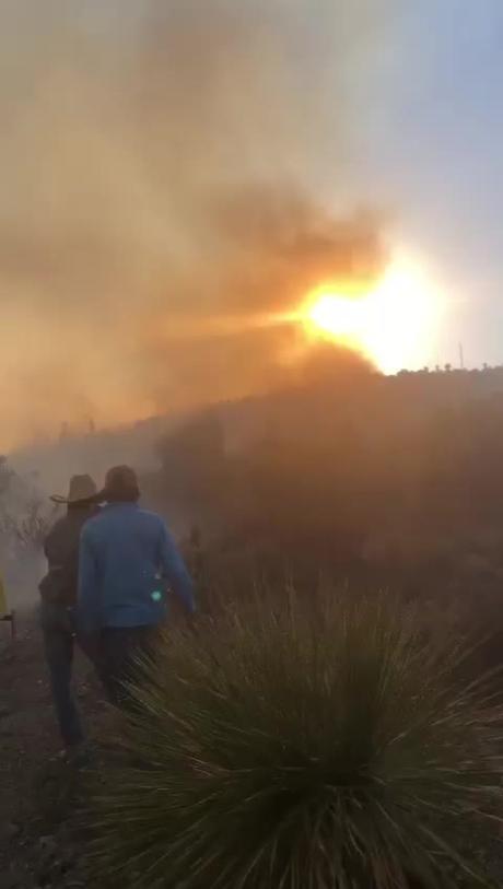 (video) Incendio forestal incontrolable amenaza la sierra de San Luis Potosí y Zacatecas