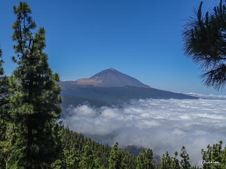 Mirador de Cumbres del Norte o Chipeque – Corona Forestal Isla de Tenerife Mirador de Cumbres del Norte o Chipeque – Corona Forestal Isla de Tenerife