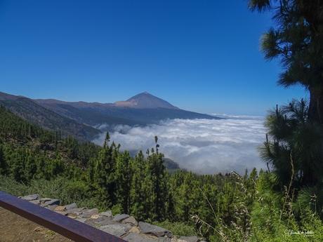 Mirador de Cumbres del Norte o Chipeque – Corona Forestal Isla de Tenerife Mirador de Cumbres del Norte o Chipeque – Corona Forestal Isla de Tenerife