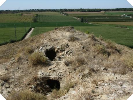 Edén en Gimenells, Lleida Edén en Gimenells, Lleida