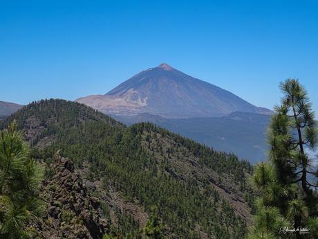 Mirador de Ayosa Parque Nacional del Teide Tenerife