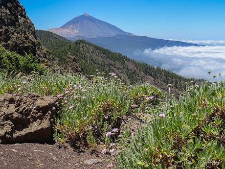 Mirador de Ayosa Parque Nacional del Teide Tenerife