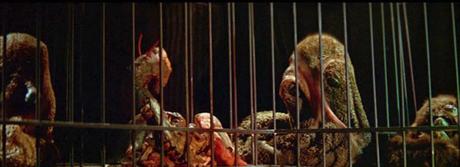 Monstruo del terror, el (USA, Gran Bretaña; 1965) Monstruo del terror, el (USA, Gran Bretaña; 1965)