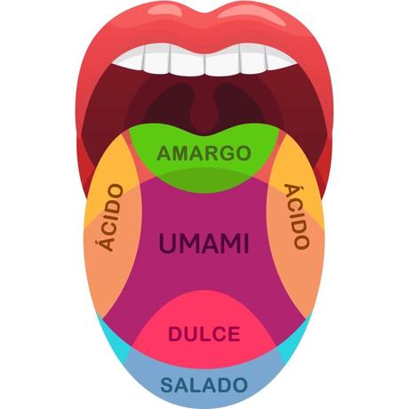 UMAMI*, EL MISTERIOSO SABOR