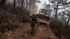 Incendios de la sierra de la Culebra de 2022