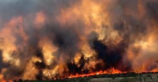 Incendios de la sierra de la Culebra de 2022 Incendios de la sierra de la Culebra de 2022