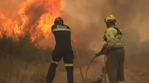 Incendios de la sierra de la Culebra de 2022 Incendios de la sierra de la Culebra de 2022