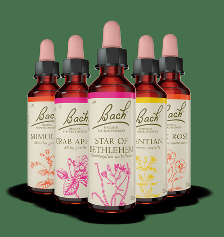 Las Flores de Bach® Originales ayudan a gestionar las emociones Las Flores de Bach® Originales ayudan a gestionar las emociones