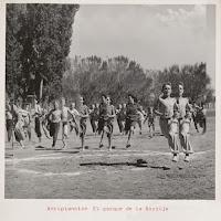 Antiplancton estrenan El parque de la Sortija como nuevo single avance de su disco