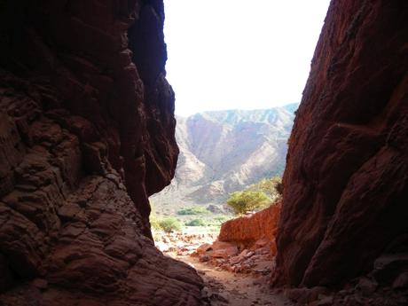 Paisajes de Salta a Cafayate. Salta. Argentina
