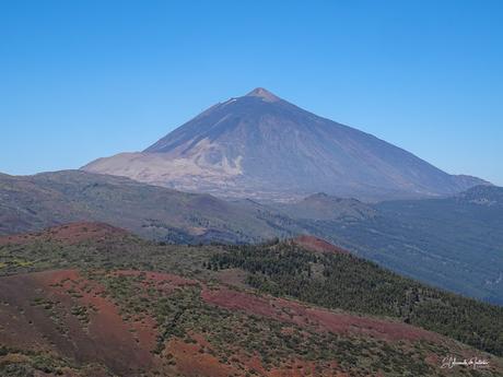 Mirador de la Tarta del Teide Isla de Tenerife