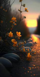 5.506 - EL SUAVE VIENTO... 5.506 - EL SUAVE VIENTO...