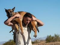 Cinecritica: Dog: Un Viaje Salvaje