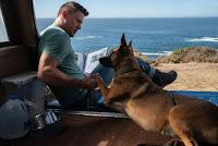 Cinecritica: Dog: Un Viaje Salvaje