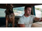 Cinecritica: Dog: Viaje Salvaje