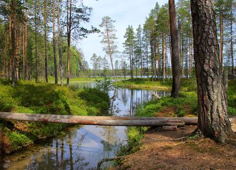 Parque Nacional Hossa