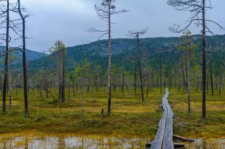 Parque Nacional Pyha-Luosto