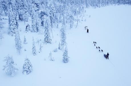 Parque Nacional Riisitunturi