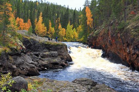 Parque Nacional Oulanka