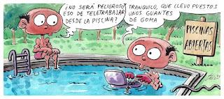 Del Sur y la historia