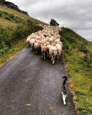 El verano que se nos viene encima… Y PP y Vox cierran un impúdico acuerdo de la era Feijóo.