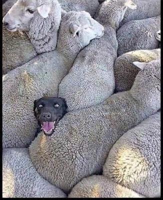 El verano que se nos viene encima… Y PP y Vox cierran un impúdico acuerdo de la era Feijóo.