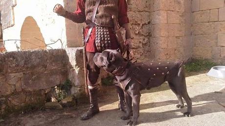 Los perros  en la antigua Roma
