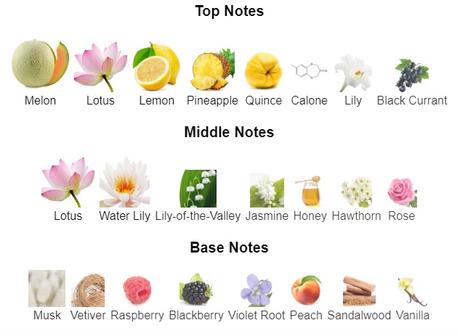 El Perfume del Mes – “Cool Water Woman” de DAVIDOFF