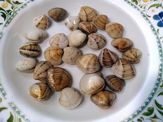 CAZUELA DE RAYA CON ALMEJAS, PATATAS Y CHICHAROS