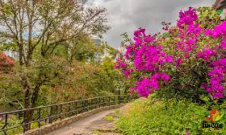 El por qué de la vida El por qué de la vida