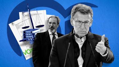 Un diputado de Vox, condenado por violencia machista.