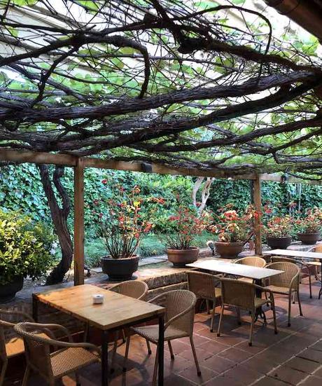 terraza la balsa restaurante