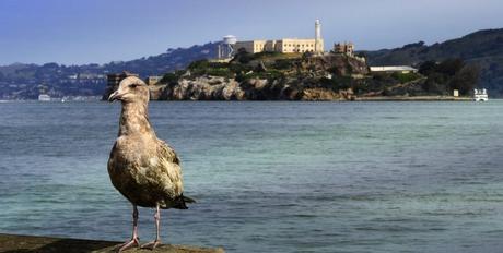 Que ver en San Francisco en EEUU Que ver en San Francisco en EEUU