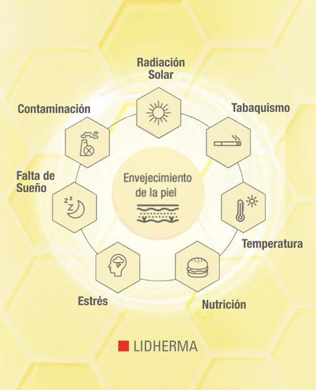 vita shield Lidherma exposoma envejecimiento