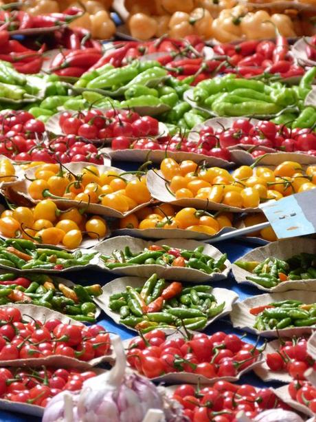 Diario de Lola (17 y 21 de abril)