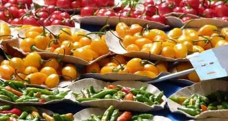 Diario de Lola (17 y 21 de abril)