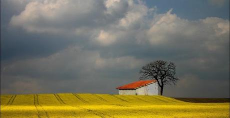 Agosto enfría el rostro