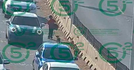 La Unidad de Género de la GCE rescata a menor en peligro en Circuito Potosí