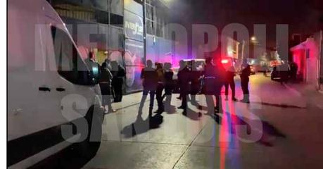 Continúa la investigación de la SSPC de la Capital para localizar la escultura de «La Sirena»