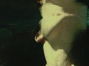 Sheffield Parte Voces latinas