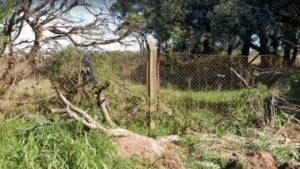 Macabro: hallaron huesos y ropa en un baldío de un hombre que habría sido asesinado a balazos