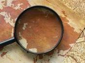 Sobre Naufragios Muertos Segunda Clase