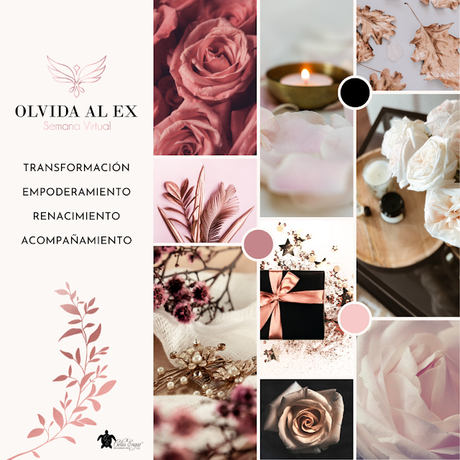 Plantillas editables para Canva: que tener en cuenta al crear tu pack